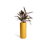 Column Planter - Mustard - PIECES by An Aesthetic Pursuit