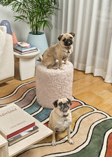 Wavy Rug - Jewel - PIECES by An Aesthetic Pursuit