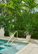 Curvy Planter - PIECES by An Aesthetic Pursuit
