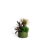 Row Planter - Pesto - PIECES by An Aesthetic Pursuit