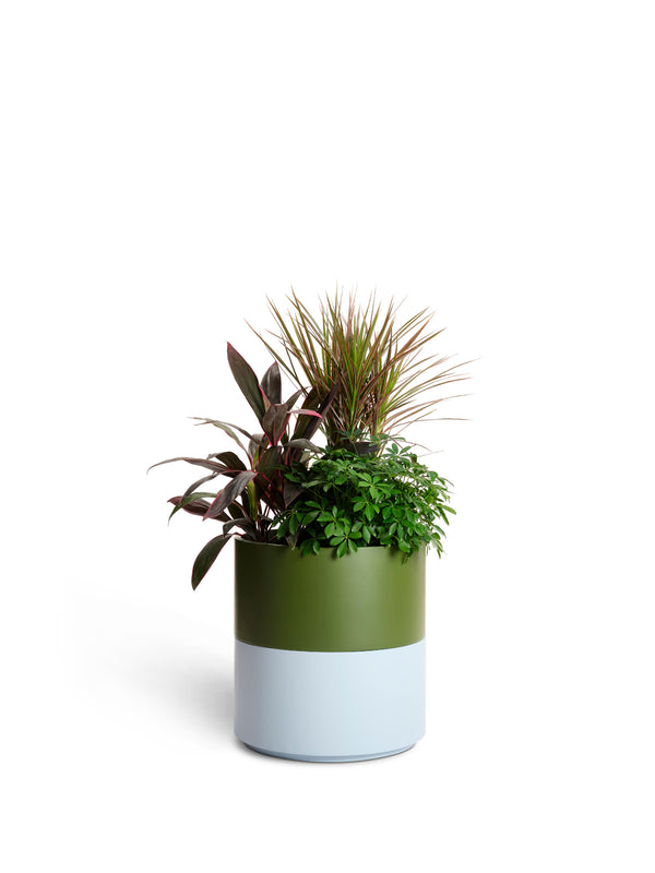 Row Planter - Pesto - PIECES by An Aesthetic Pursuit