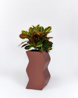 Curvy Planter - PIECES by An Aesthetic Pursuit