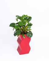 Curvy Planter - PIECES by An Aesthetic Pursuit