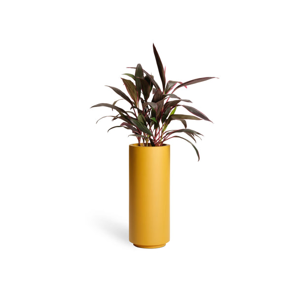 Column Planter - Mustard - PIECES by An Aesthetic Pursuit
