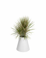 Cone Planter - PIECES by An Aesthetic Pursuit