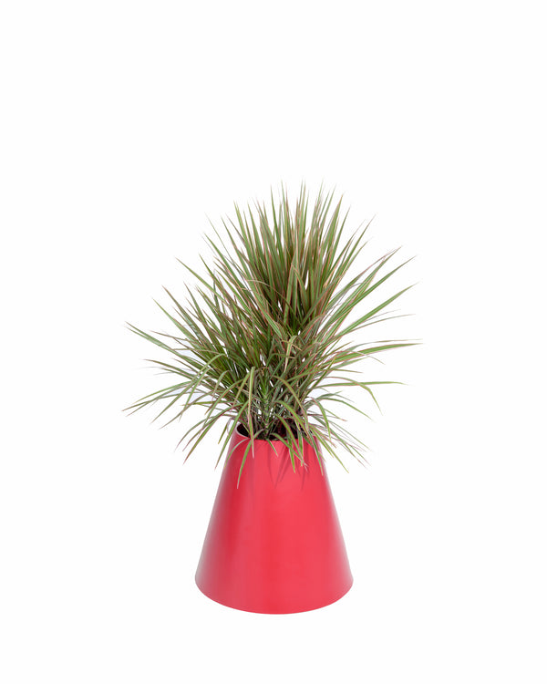 cone plant pots Cone Planter – Pieces Home