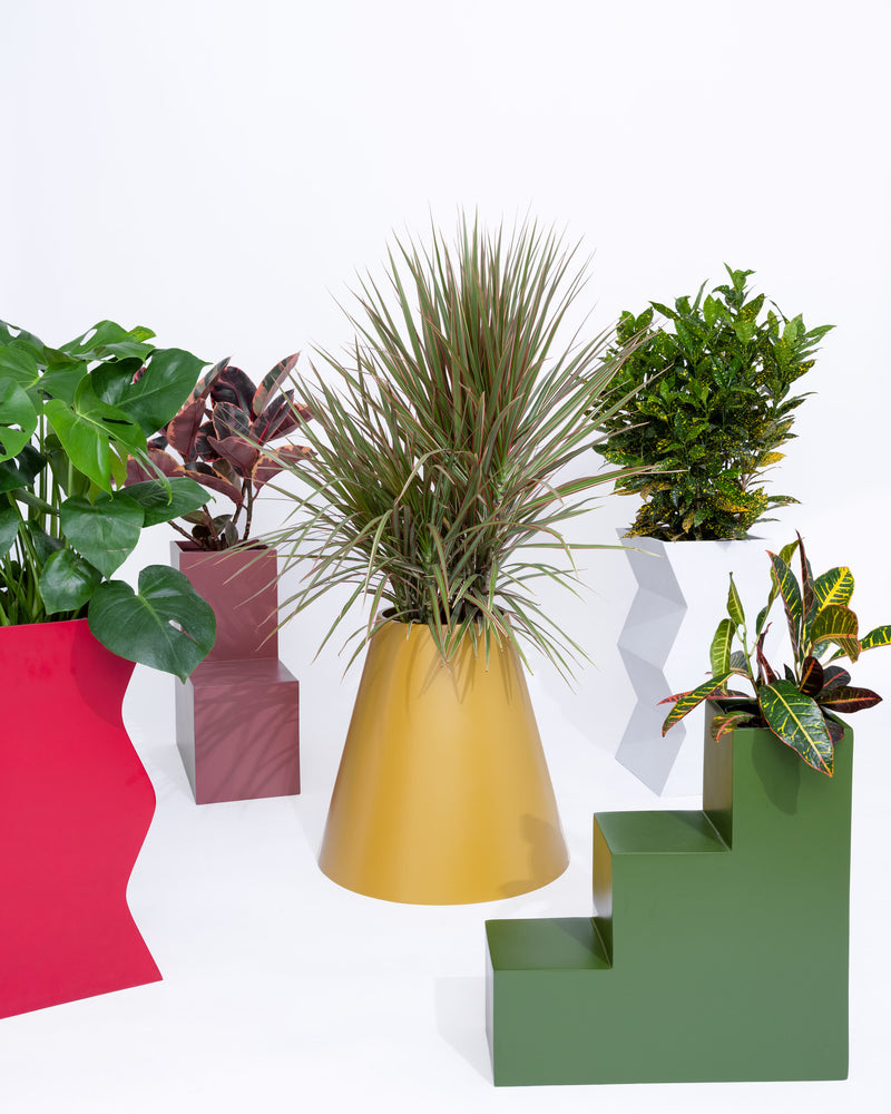 Curvy Planter - PIECES by An Aesthetic Pursuit
